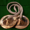 Kishori Medium (Bell metal hand Cymbal (Kartal) Pair)